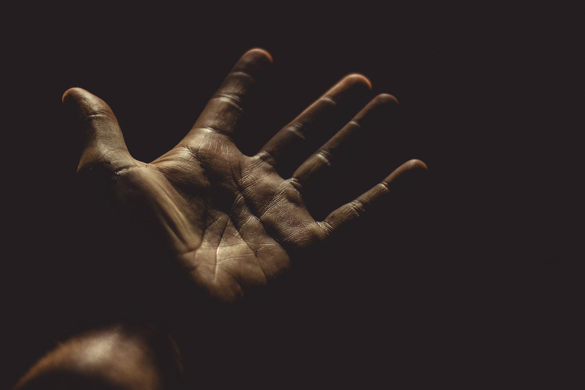 header savoir-faire